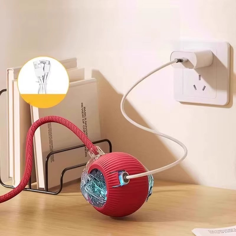 Interactive Rolling Cat Ball Toy