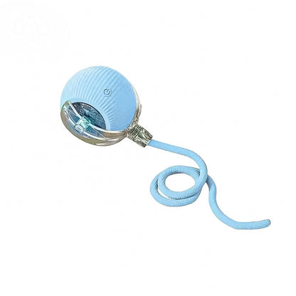 Interactive Rolling Cat Ball Toy
